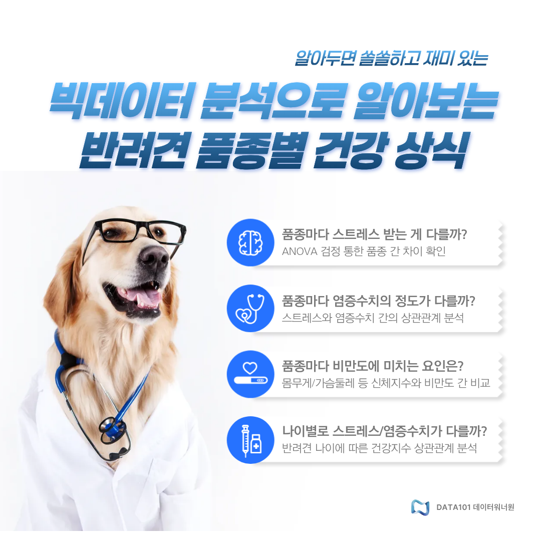 반려견 품종별 건강 상식 분석
